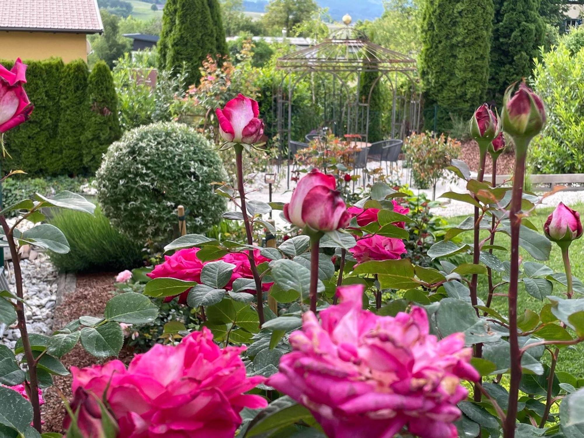 Althofen  Bed And Breakfast Mittelkaernten المظهر الخارجي الصورة