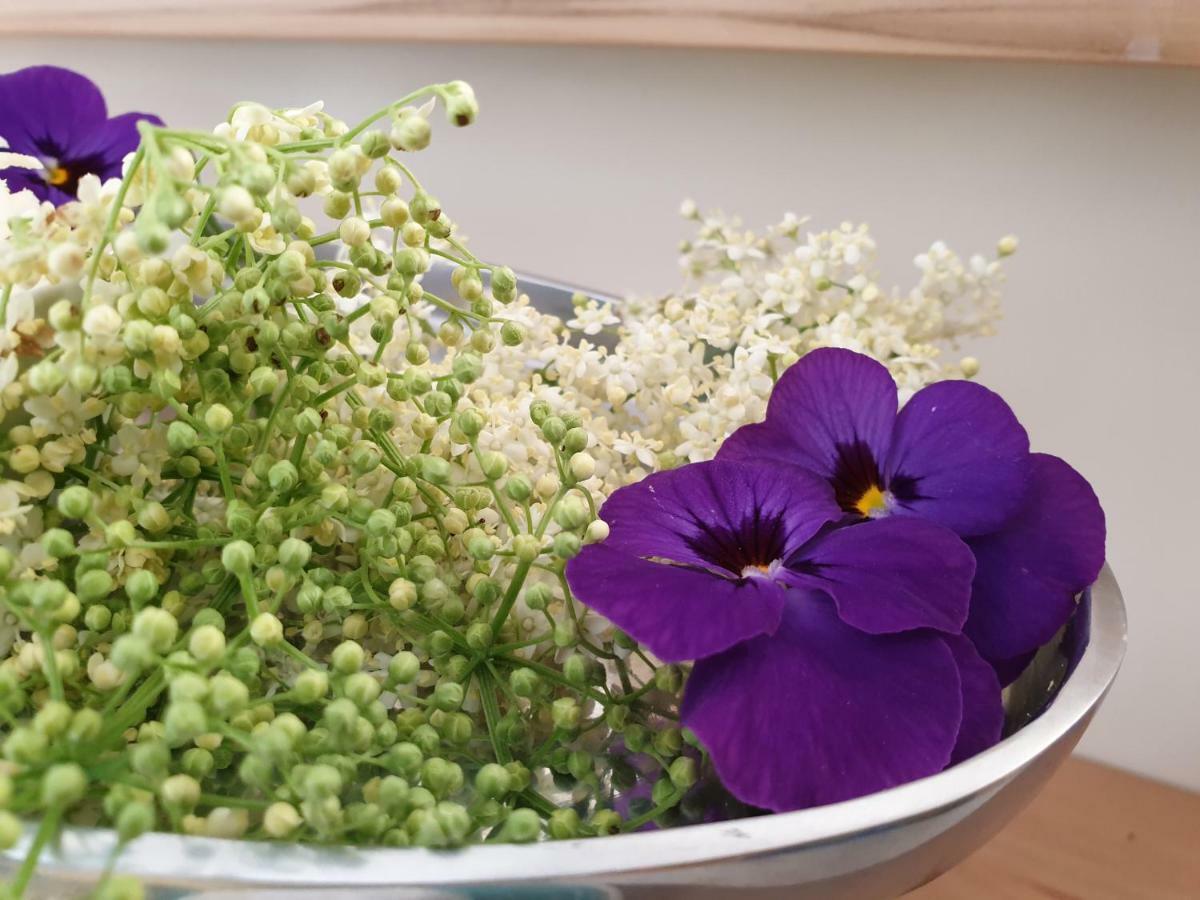 Althofen  Bed And Breakfast Mittelkaernten المظهر الخارجي الصورة